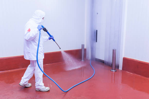 Best Building Exterior Washing  in Redan, GA